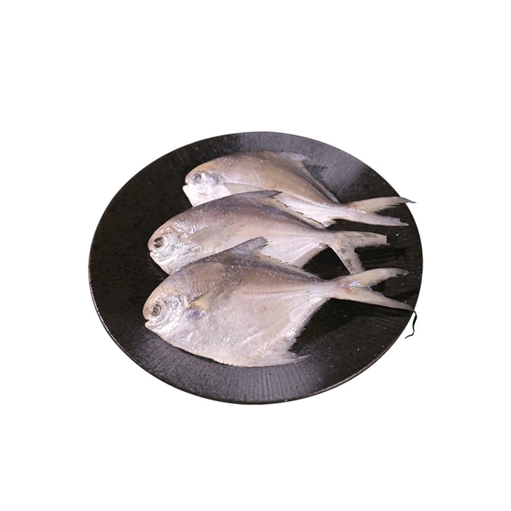 Frozen White Pomfret Frozen White Pomfret